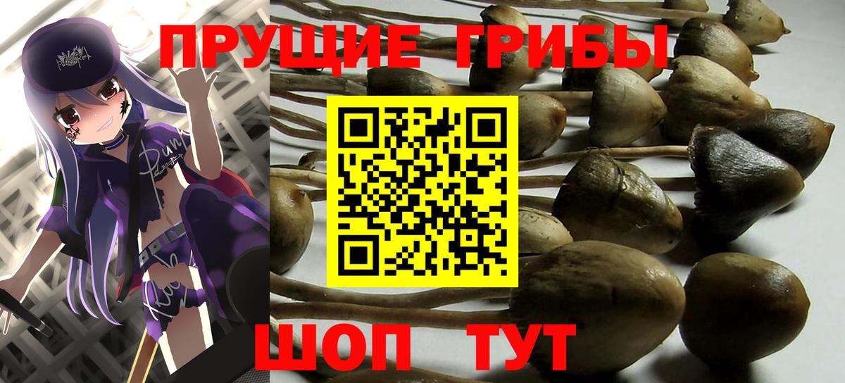 НБОМе Прокопьевск
